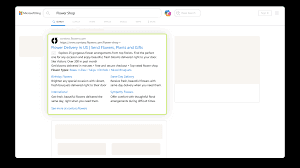 Search Campaigns example